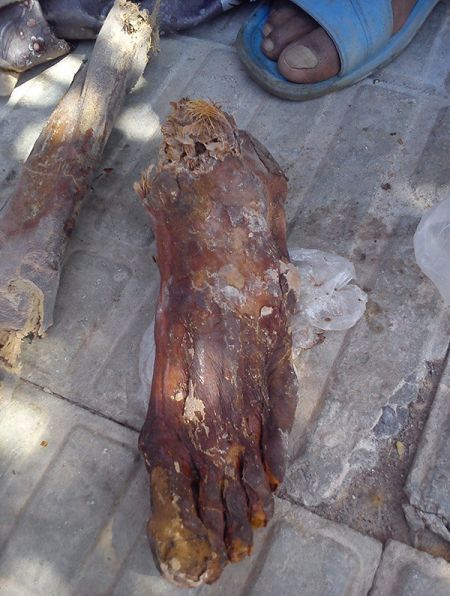 پای عظیم الجثه کشف شده در گلباف در روزهای اخیر 