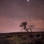 منظره ستارگان و صورت فلکی شعرای یمانی در پس زمینه یک درخت بربادرفته توسط آنا والز