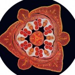 تصویر میکروسکوپی از سطح مقطع یک جوانه گل زنبق از اسپایک والکر، برنده جایزه چهارم