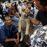 A customer holds a puppy for viewing at Dashichang dog market ahead of a local dog meat festival in Yulin